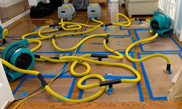 Professional Crawl Space Water Removal technician working in Hollandale, MS